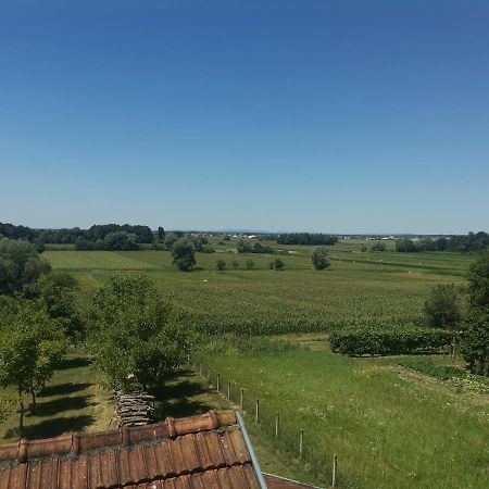 Apartman Sipa Bjelovar Exteriér fotografie