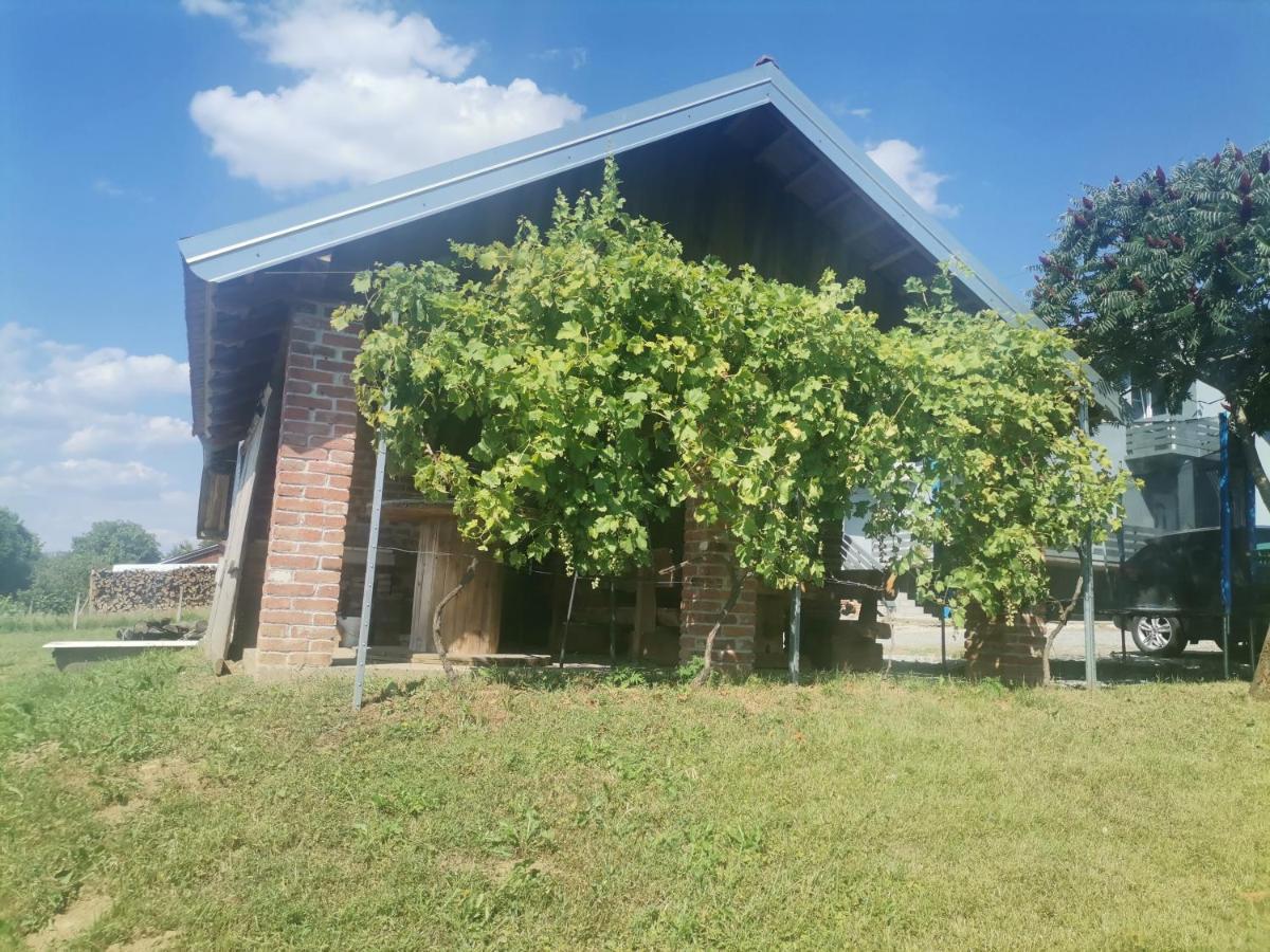 Apartman Sipa Bjelovar Exteriér fotografie